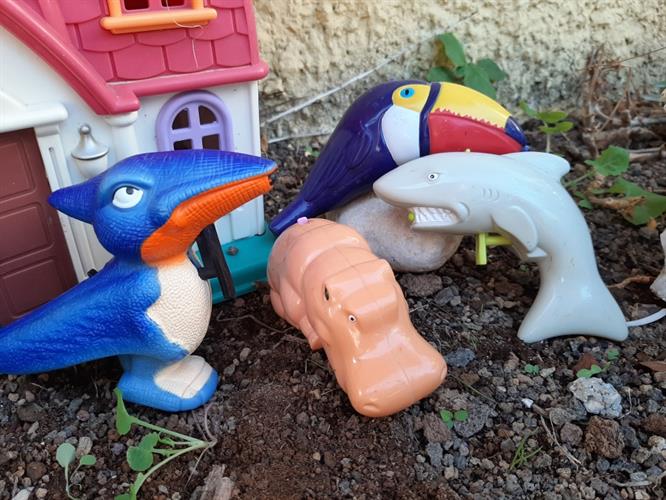 רבעיית חיות שהם אקדח מים-היפופוטם ,דולפין,תוכן,ודינוזאור מעופף