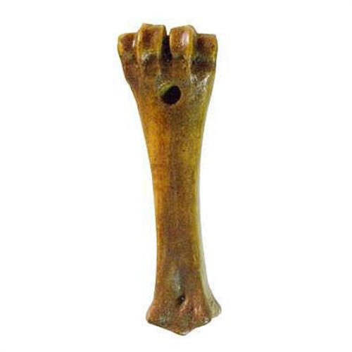 עצם סידן מעושנת