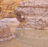 טיול, גישור וחוויה - טיולי שטח לזוגות