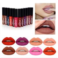 POPFEEL LIPS GLOSS - צבעי מט