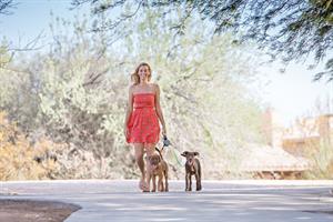 רצועה ל - 2 כלבים