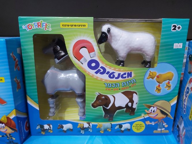 מגנטיקס חיות בכפר