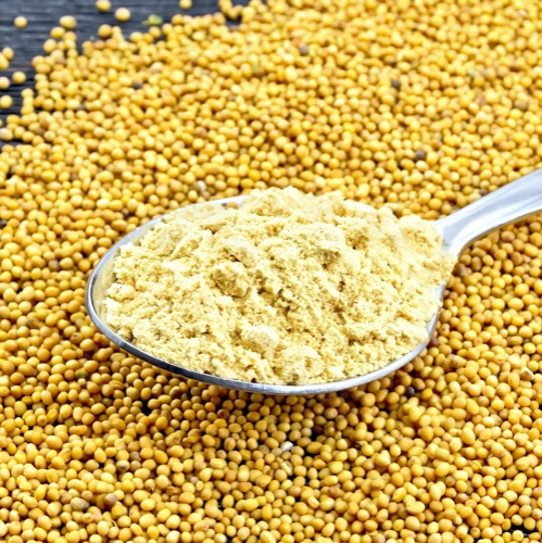 אבקת חרדל – 80 גרם