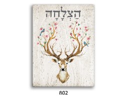 תמונת השראה הצלחה - דגם 802