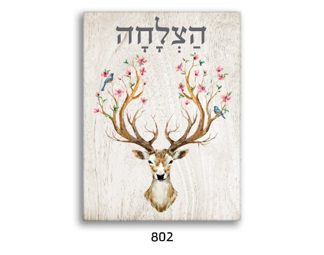 תמונת השראה הצלחה - דגם 802
