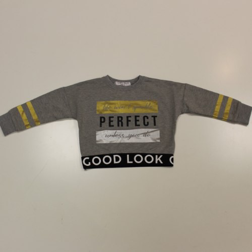 חולצה פוטר ילדות PERFECT אפור