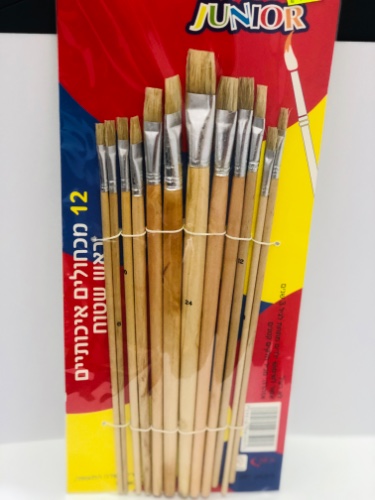 12 מכחולים איכותיים לאונרדו