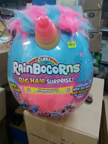 רייבוקורן שיער ענק