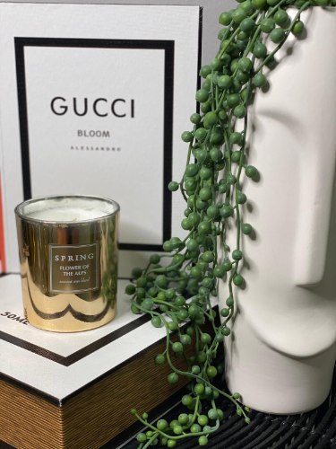 SPRING FLOWER OF THE ALPS CIRCLE M