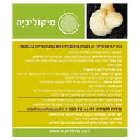 -- היריסיום פיור - HERICIUM PURE -- מכיל 60 כמוסות צמחיות HPMC, מיקוליביה