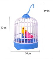 כלוב ציפורים מצייצות