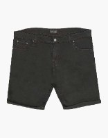 ג'ינס קצר כחול בהיר 40-46