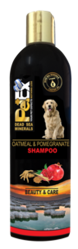 שמפו פטקס שיבולת שועל