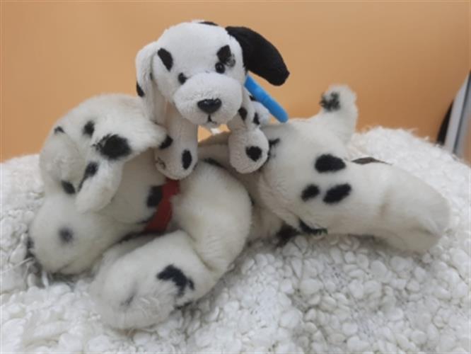 בובות פרווה של כלבים דלמטיים, אמא וגור דלמטיים, הגור של וובקינ'ז האמא מבית keel toys, המחיר לשניהם