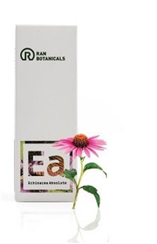 אכינצאה אבסולוט - Echinacea Absolute