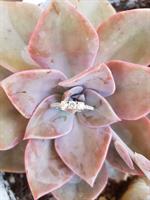 טבעת זהב 14 קרט "שלוש אבנים" משובצת 0.65 קראט