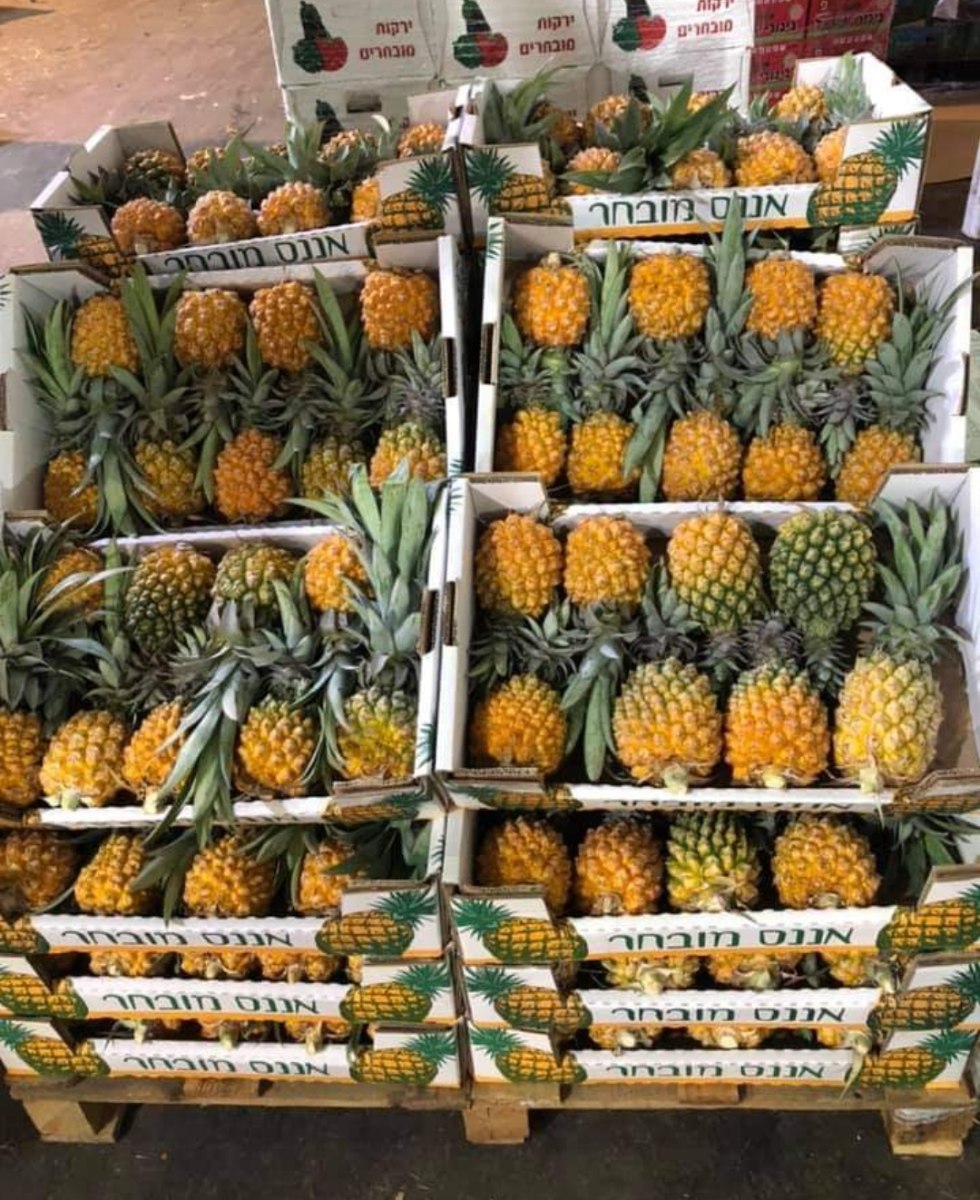 קרטון 8 אננסים ישראלים (בינוני)