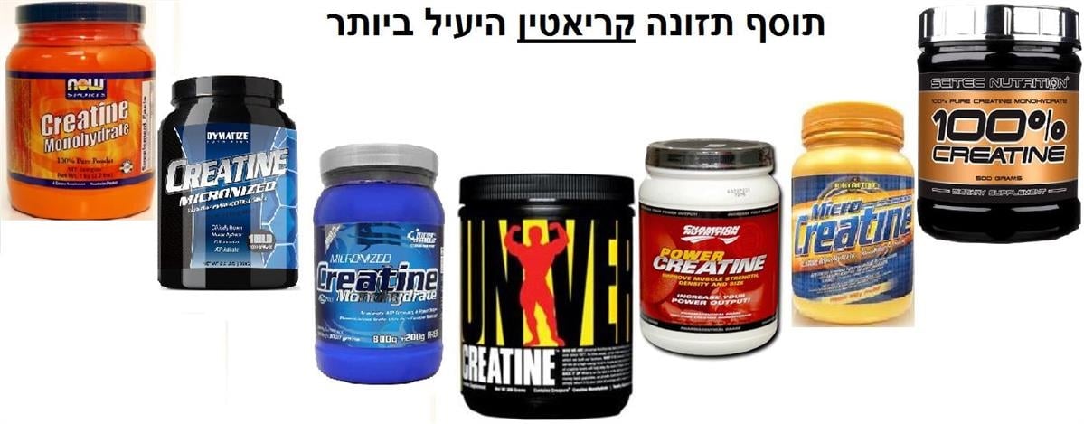 קריאטין טהור - חנות התזונה והכושר של רנימאס