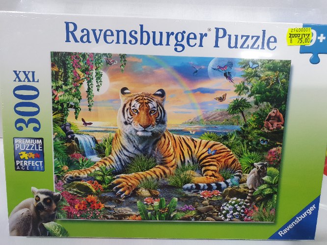 פאזל טייגר בשקיעה 300 חלקים