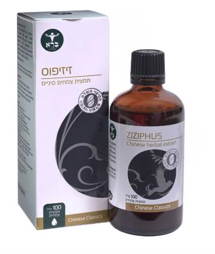 זיזיפוס - Ziziphus