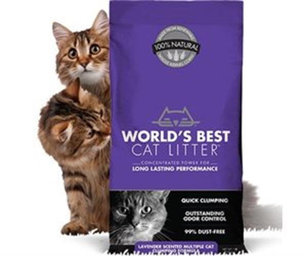 חול לחתול וורלד בסט לבנדר