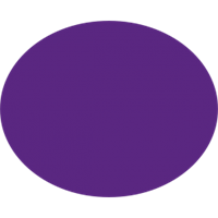 פוליגל סגול