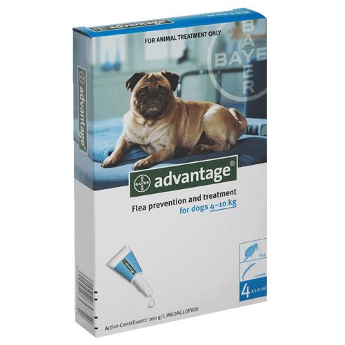 אמפולות אדוונטג' לכלב למניעת פרעושים 4-10 ק"ג