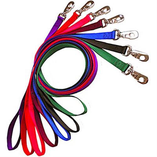 רצועת הולכה צבעונית לכלב קטן