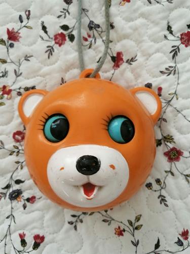 דובי תיבת נגינה