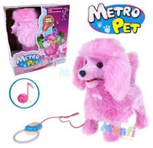 כלב פודל על שלט