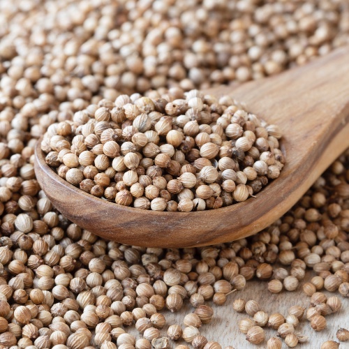 זרעי כוסברה – 80 גרם