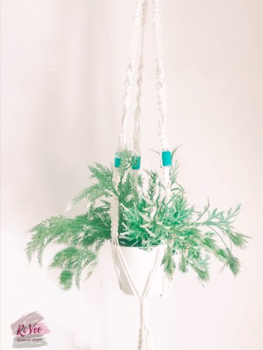 מקרמה, מתלה מקרמה, מתלה לעציץ, עציץ, עציצים, עציץ תלוי, עציץ בבית, מתקן לעציצים, בוהו, מתלה מקרמה בוהו, עיצוב פנים, הום סטיילינג, אווירה , בוהו שיק עציץ נשפך, שרך, שרכים, שרך בעציץ, שרך תלוי, שרך במקרמה