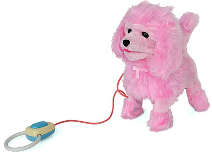 כלב חוט שלט