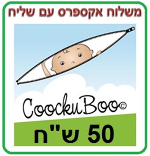 משלוח בשירות מהיר אקספרס בארץ (דואר ישראל)