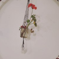 סדנת יצירה זוגית מאוצרות הטבע הקסומים