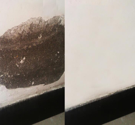 חוות דעת - משחה לתיקון ואיטום קירות - FixWall
