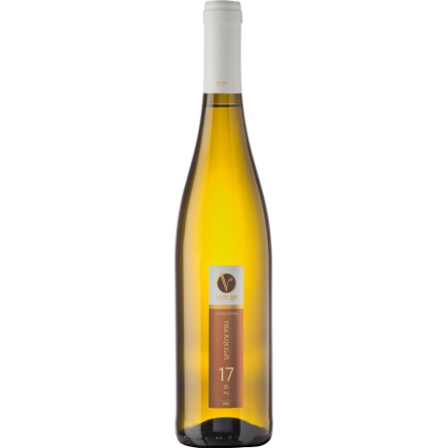 ויתקין גוורצטרמינר מהדורת אספנים