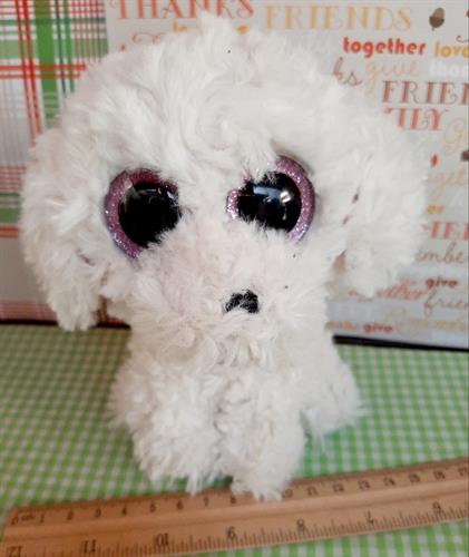 בובת כלב פודל עיניים גדולות של ty,ושמו פיפי (בחיי.. pippie)