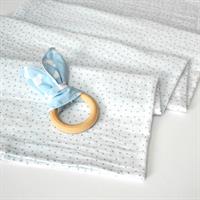 נשכן ארנב תכלת עננים