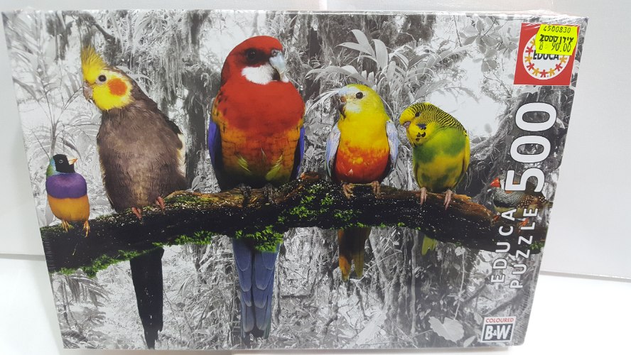 פאזל תוכים 500 חלקים