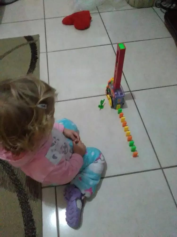 חוות דעת - רכבת דומינו - ערכה מושלמת לילדים