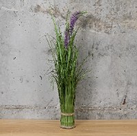 זר טורמוס נמוך