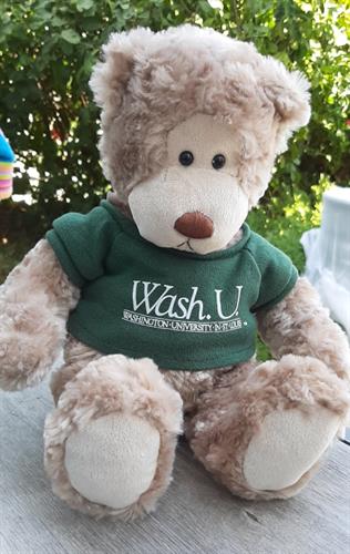 דובי חום של גאנד , gund, לובש חולצת אוניברסיטת וושינגטון,