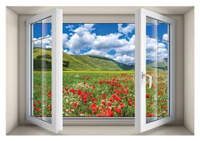 חלון בנישה עמק הכלניות