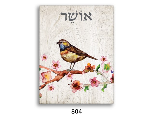 תמונת השראה אושר - דגם 804