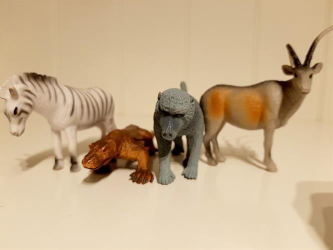 גורילה ,לטאת כח,צבי וזברה