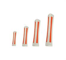 ביונד בון גדול