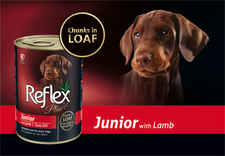 שימורים ריפלקס פלוס נתחי כבש