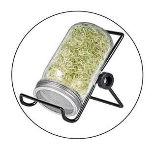 צנצנת להנבטה עם מעמד - 470 מ“ל