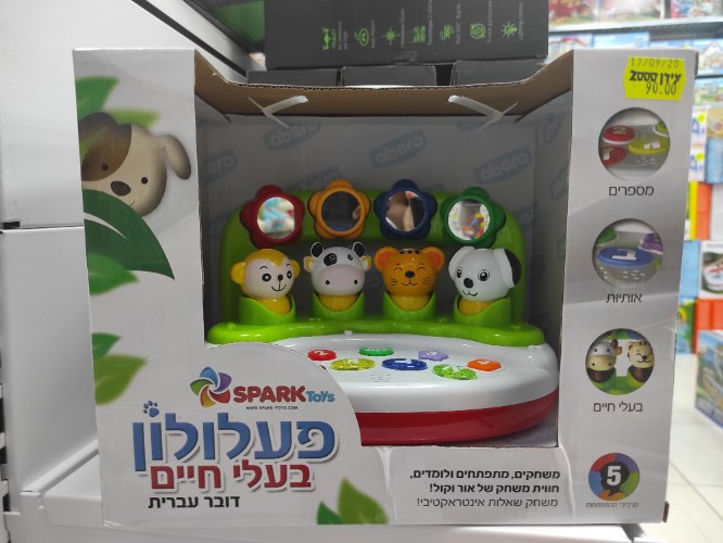 בעלי חיים